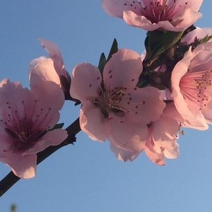 灃河老鐵野釣營 探秘自然與垂釣的和諧樂章
