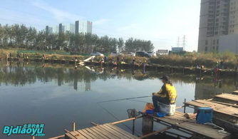 北京釣魚野趣 野釣營，垂釣愛好者的天堂